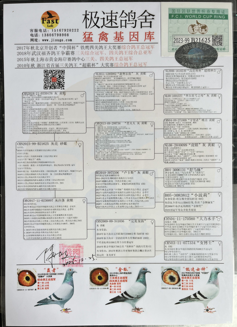 信鸽拍卖网(比利时天堂信鸽拍卖网)